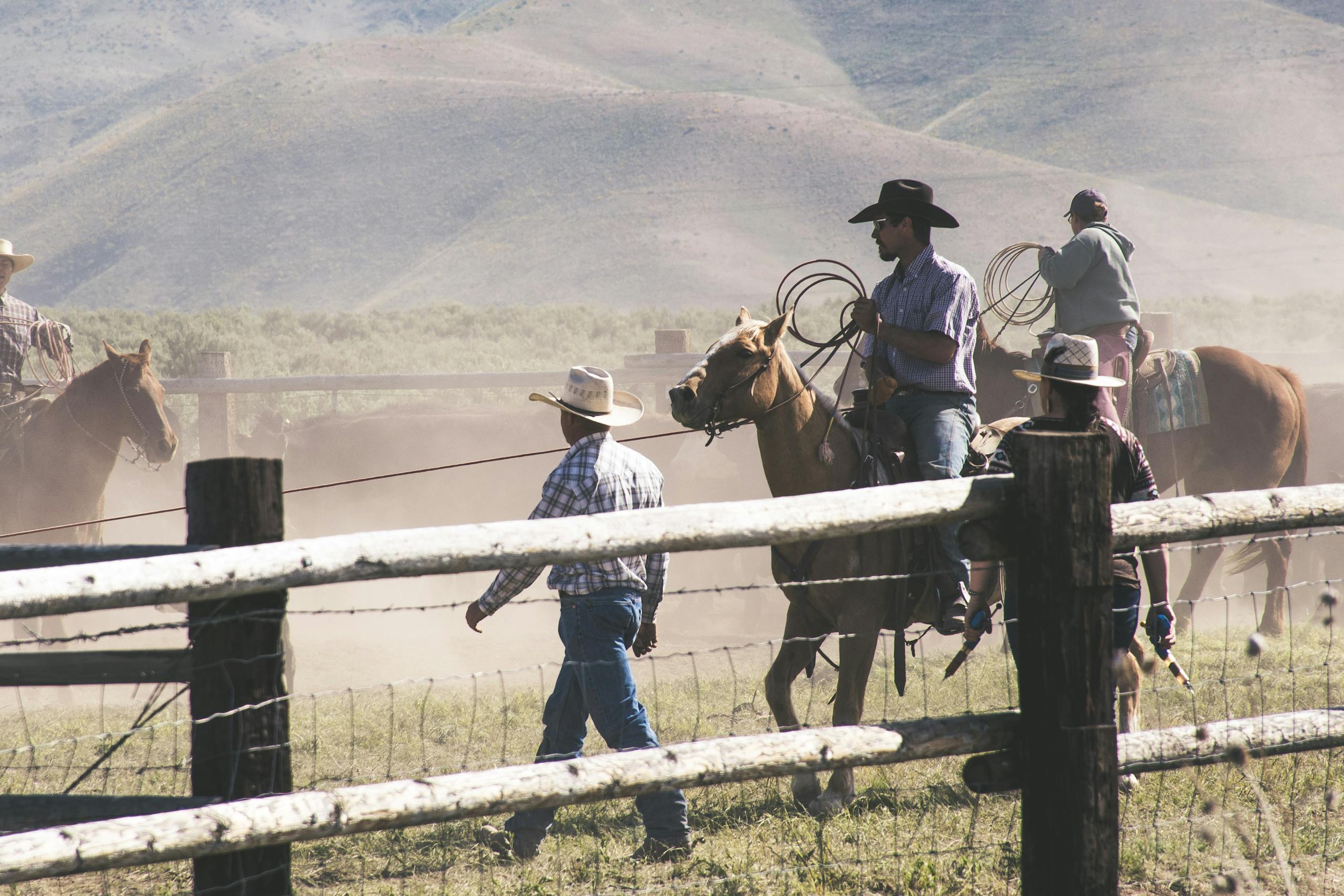 People Riding on There Perspective Horse in Farm